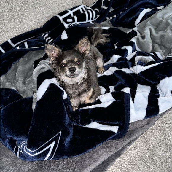 Meet my babies 🐕🐕🐕🥰 - Picture 2 of 4